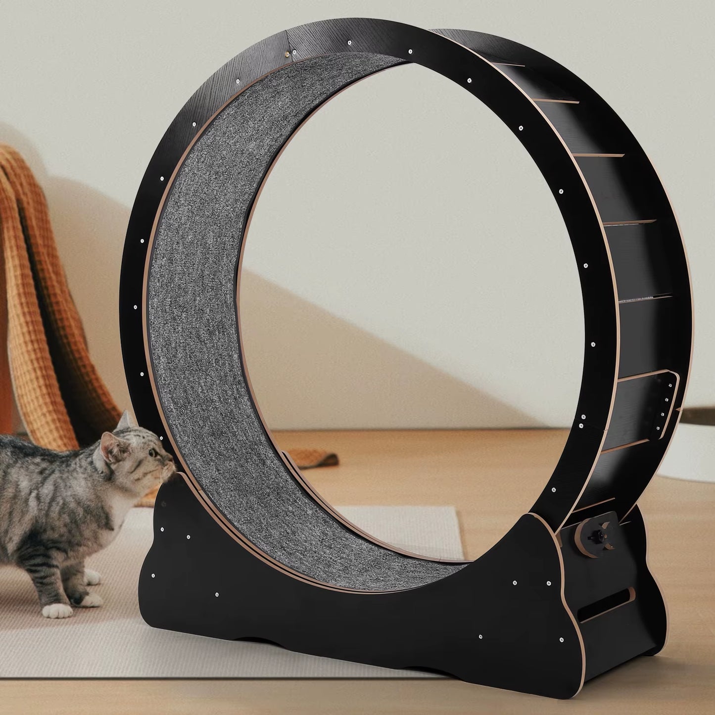 Revolutionary 43-Inch Cat Exercise Wheel - Perfect Treadmill for Indoor Cats to Stay Fit and Active