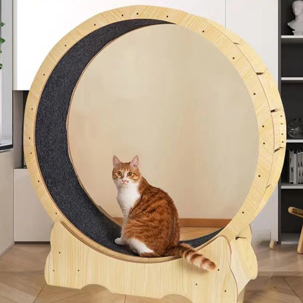 Transform Playtime with Our Cat Exercise Wheel Mat - Plush Cushion for Ultimate Comfort and Fun!