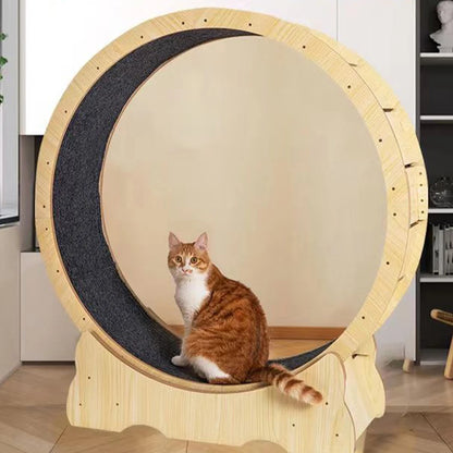 Transform Playtime with Our Cat Exercise Wheel Mat - Plush Cushion for Ultimate Comfort and Fun!