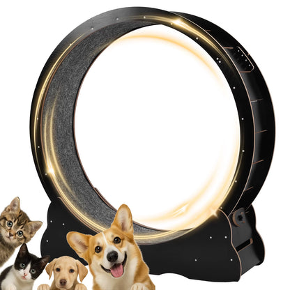 Revolutionary 43-Inch Cat Exercise Wheel - Perfect Treadmill for Indoor Cats to Stay Fit and Active