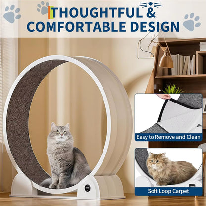Revolutionize Your Cat's Playtime with Our Quiet Cat Exercise Wheel - Perfect Indoor Treadmill with Pedometer for Happy, Healthy Cats!