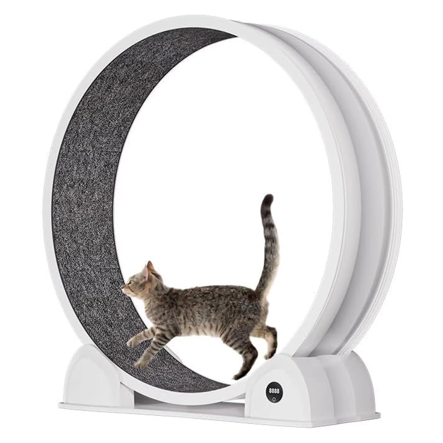 Revolutionize Your Cat's Playtime with Our Quiet Cat Exercise Wheel - Perfect Indoor Treadmill with Pedometer for Happy, Healthy Cats!