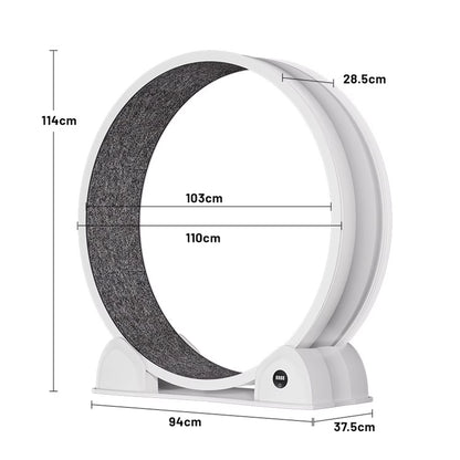 Revolutionize Your Cat's Playtime with Our Quiet Cat Exercise Wheel - Perfect Indoor Treadmill with Pedometer for Happy, Healthy Cats!