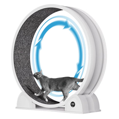 Revolutionize Your Cat's Playtime with Our Quiet Cat Exercise Wheel - Perfect Indoor Treadmill with Pedometer for Happy, Healthy Cats!