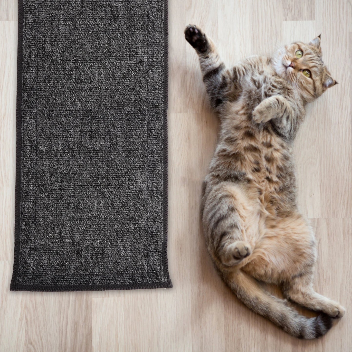 Transform Playtime with Our Cat Exercise Wheel Mat - Plush Cushion for Ultimate Comfort and Fun!