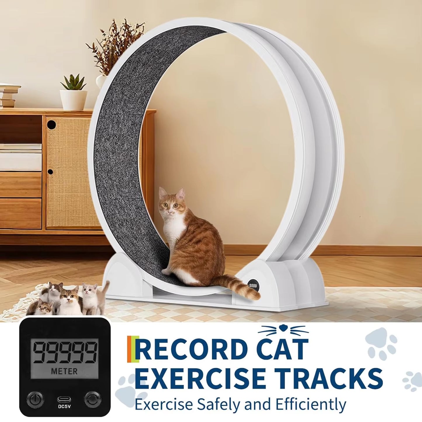Revolutionize Your Cat's Playtime with Our Quiet Cat Exercise Wheel - Perfect Indoor Treadmill with Pedometer for Happy, Healthy Cats!