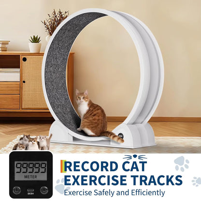 Revolutionize Your Cat's Playtime with Our Quiet Cat Exercise Wheel - Perfect Indoor Treadmill with Pedometer for Happy, Healthy Cats!