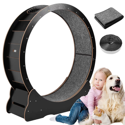 Revolutionary 43-Inch Cat Exercise Wheel - Perfect Treadmill for Indoor Cats to Stay Fit and Active