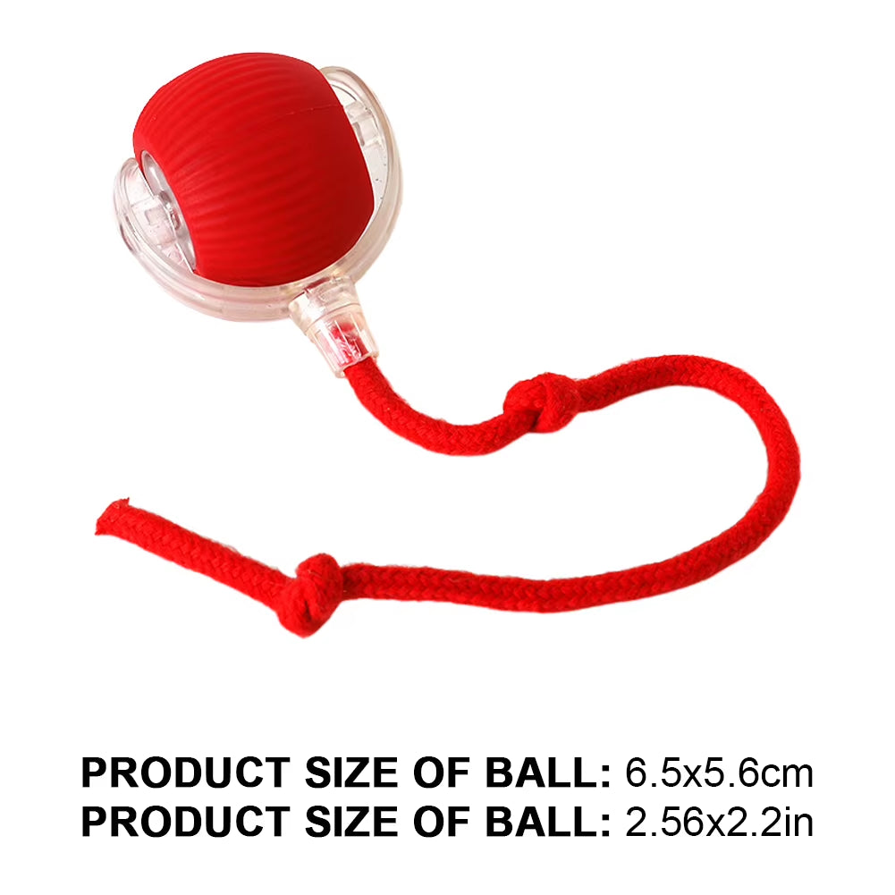 Exciting Caterpillar Teasing Cat Toy - Motion Activated, Rechargeable, and Interactive Fun for Indoor Cats!